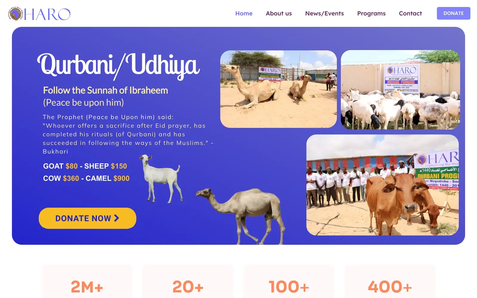 HARO homepage design