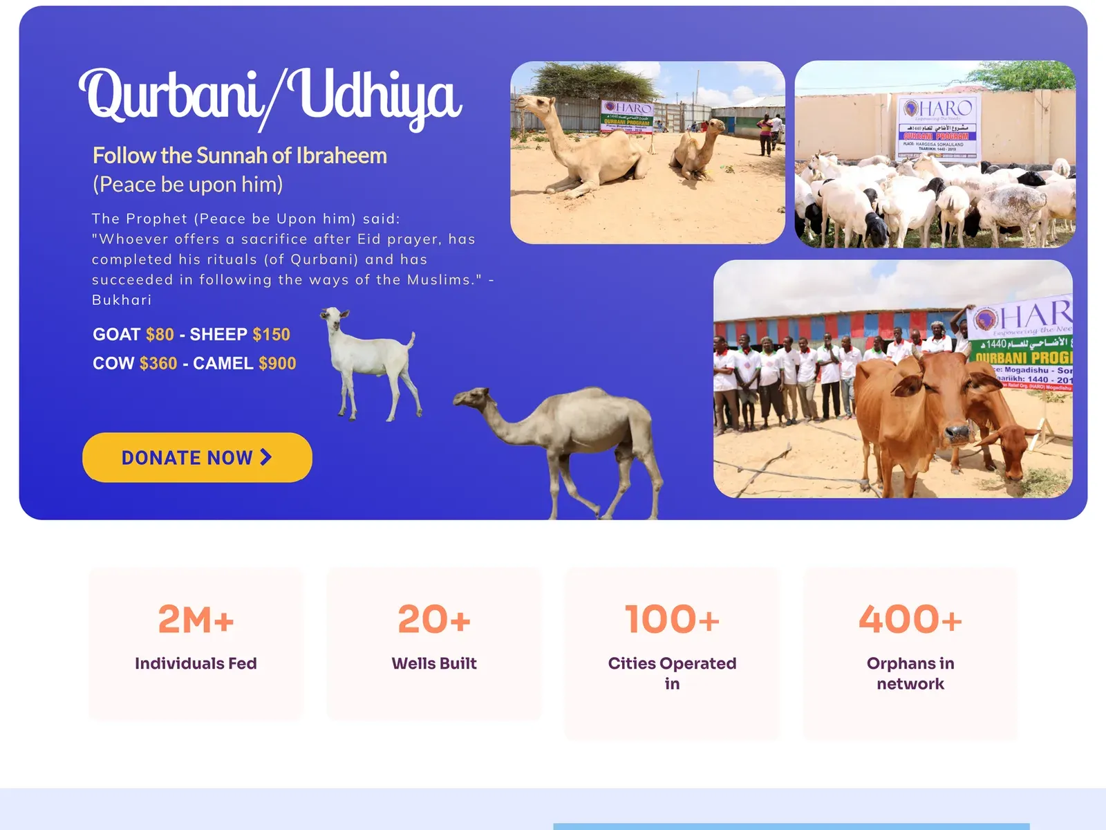 HARO website design by TayoPro