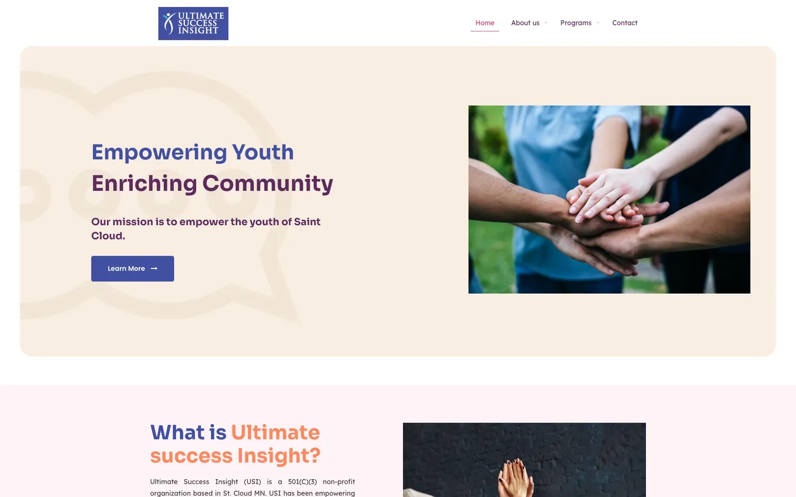 Ultimate Success Insight homepage design